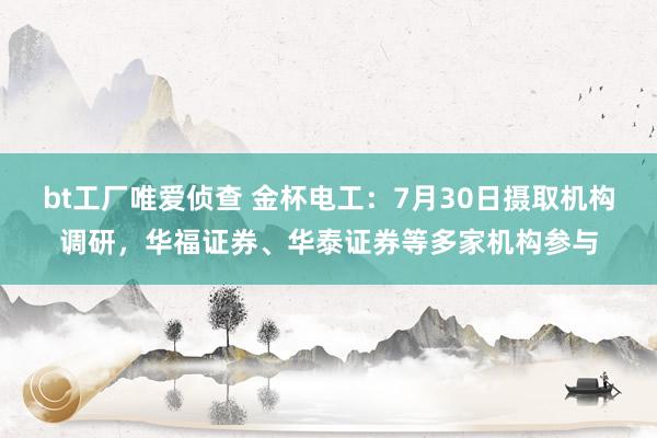 bt工厂唯爱侦查 金杯电工：7月30日摄取机构调研，华福证券、华泰证券等多家机构参与