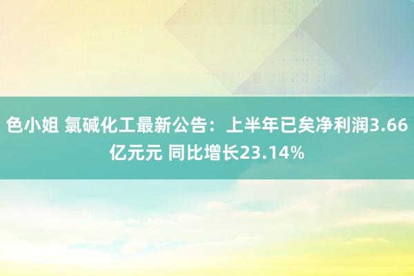 色小姐 氯碱化工最新公告：上半年已矣净利润3.66亿元元 同比增长23.14%