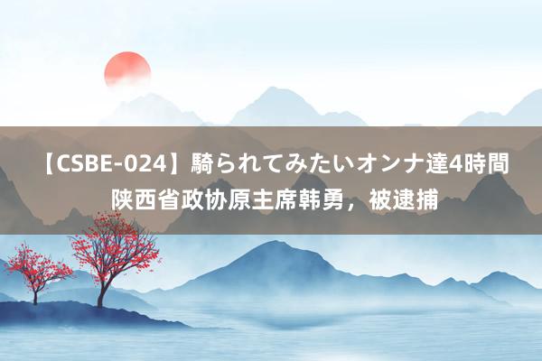 【CSBE-024】騎られてみたいオンナ達4時間 陕西省政协原主席韩勇，被逮捕