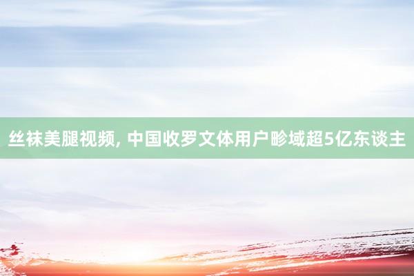 丝袜美腿视频, 中国收罗文体用户畛域超5亿东谈主