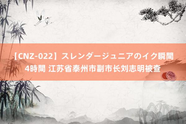 【CNZ-022】スレンダージュニアのイク瞬間 4時間 江苏省泰州市副市长刘志明被查