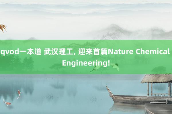 qvod一本道 武汉理工, 迎来首篇Nature Chemical Engineering!