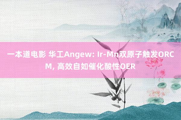 一本道电影 华工Angew: Ir-Mn双原子触发ORCM, 高效自如催化酸性OER