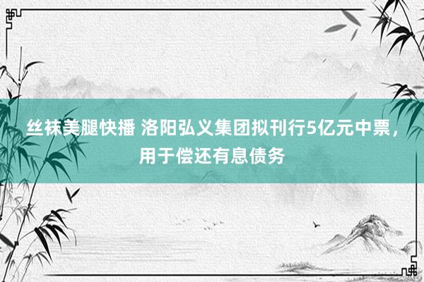 丝袜美腿快播 洛阳弘义集团拟刊行5亿元中票，用于偿还有息债务