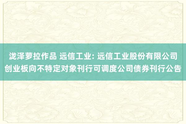 泷泽萝拉作品 远信工业: 远信工业股份有限公司创业板向不特定对象刊行可调度公司债券刊行公告