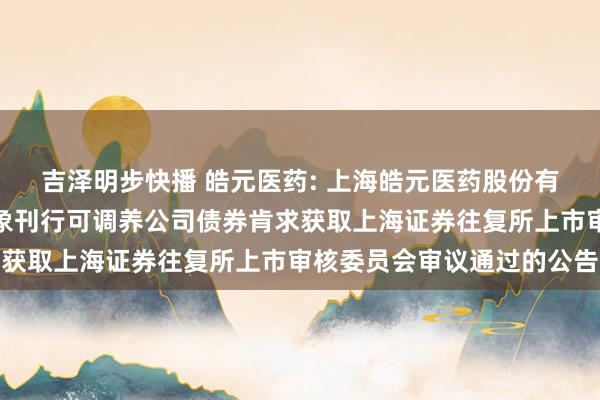 吉泽明步快播 皓元医药: 上海皓元医药股份有限公司对于向不特定对象刊行可调养公司债券肯求获取上海证券往复所上市审核委员会审议通过的公告