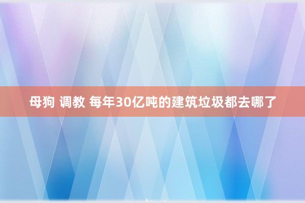 母狗 调教 每年30亿吨的建筑垃圾都去哪了