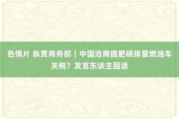 色情片 纵贯商务部｜中国洽商提肥硕排量燃油车关税？发言东谈主回话