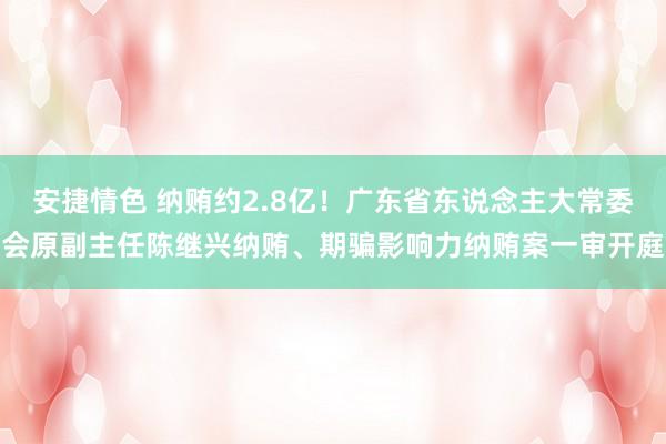 安捷情色 纳贿约2.8亿！广东省东说念主大常委会原副主任陈继兴纳贿、期骗影响力纳贿案一审开庭