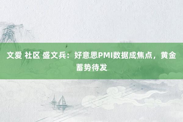 文爱 社区 盛文兵：好意思PMI数据成焦点，黄金蓄势待发