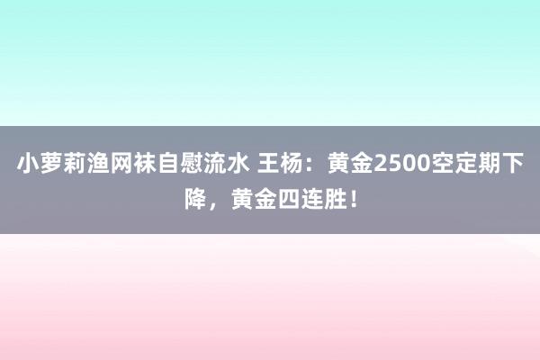 小萝莉渔网袜自慰流水 王杨：黄金2500空定期下降，黄金四连胜！