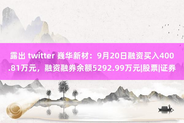 露出 twitter 巍华新材：9月20日融资买入400.81万元，融资融券余额5292.99万元|股票|证券