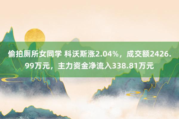 偷拍厕所女同学 科沃斯涨2.04%，成交额2426.99万元，主力资金净流入338.81万元