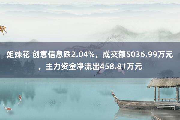 姐妹花 创意信息跌2.04%，成交额5036.99万元，主力资金净流出458.81万元