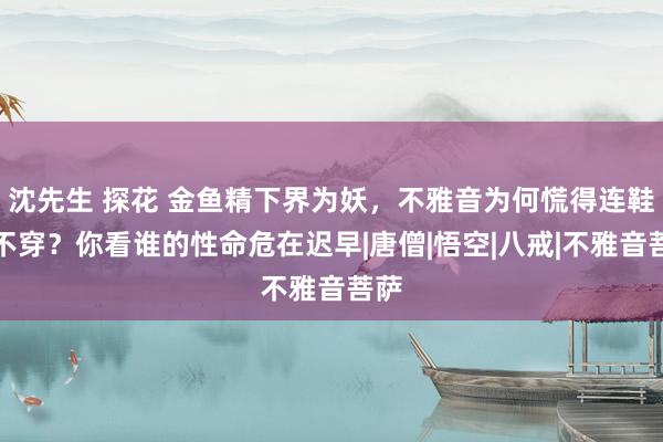 沈先生 探花 金鱼精下界为妖，不雅音为何慌得连鞋都不穿？你看谁的性命危在迟早|唐僧|悟空|八戒|不雅音菩萨