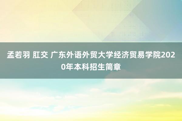 孟若羽 肛交 广东外语外贸大学经济贸易学院2020年本科招生简章